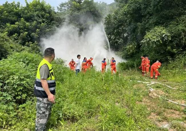 守好綠色家園|鐵山坪街道扎實做好森林防火工作